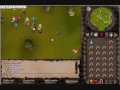 Tags:websterscape pk pvp vindictive phearme me phear