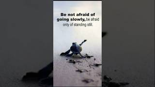 Be Not Afraid Of Going Slowly