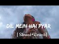 Dil Mein Hai Pyar Tera Hoton Pe Gitwa |Slowed+Reverb | Alka Yagnik | The Hero | Sunny Deol #lofi