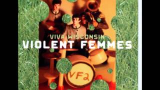 Watch Violent Femmes Life Is An Adventure video