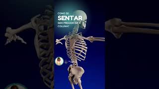 Como Se Sentar Corretamente Sem Prejudicar A Coluna? Silvia Serri Fisioterapia Na Vila Mariana