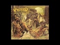 Aborted Video preview