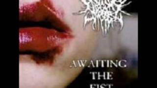 Begging For - Awaiting The Fist