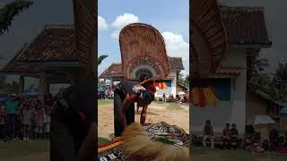 Putaran Reok