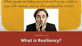 What is Resiliency?