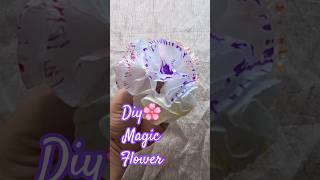 Magic Paper Towel Flowers Watch The Colors Bloom