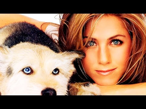 Facts About You And Your Dog's Personality Facts About You And Your Dog's Personality klip izle