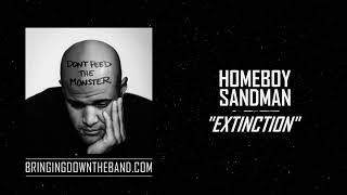 Watch Homeboy Sandman Extinction video