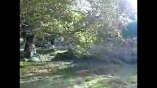 MOV000321