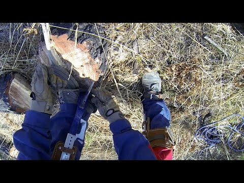 Лазы для деревьев своими руками 50