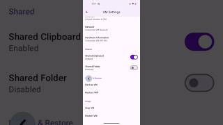 How To Enable The Shared Folder Feature Of Virtual Master On Higher Versions Of Android?