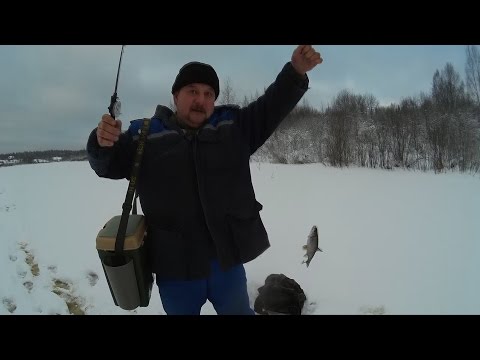 видео клева поют видео клева поют