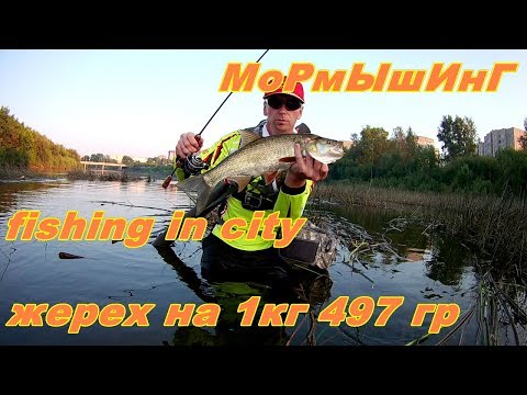 ловля рыбы на мормышинг ловля рыбы на мормышинг