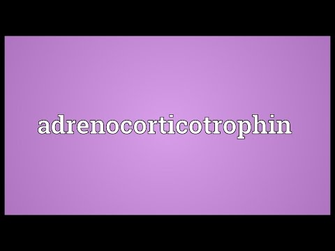 Header of adrenocorticotrophin