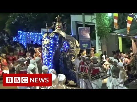 Sri Lanka elephant runs amok in parade - BBC News