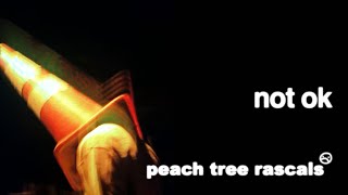 Peach Tree Rascals - Not Ok (Official Music Video)
