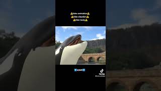 Whos Also To Be Swallowed Alive By The Female Orca?