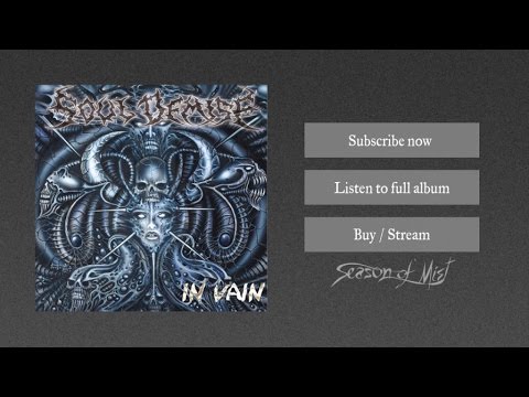 In Vain Video