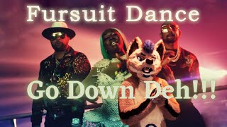Fursuit Dance Ray Bleiz Go Down Deh