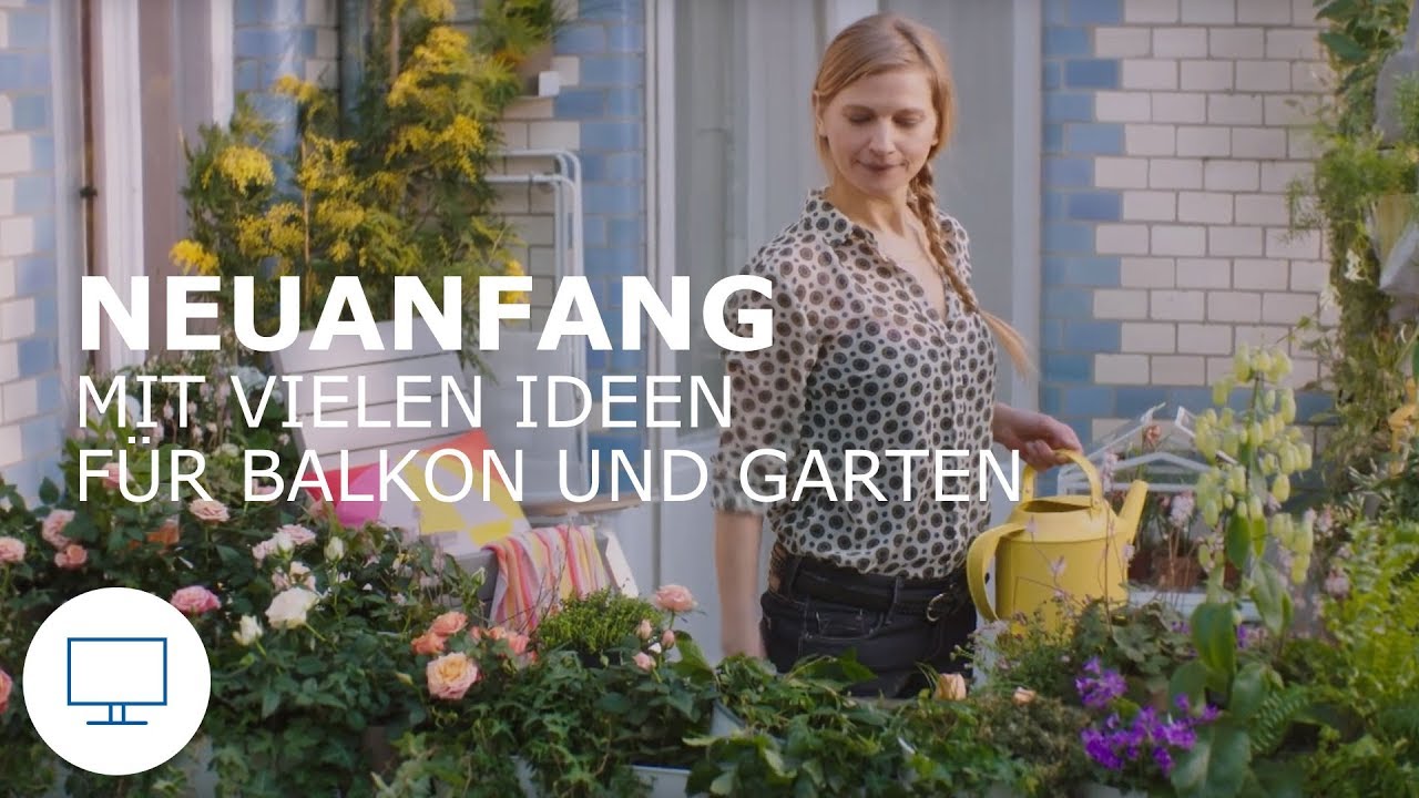 Garten und balkon adventskalender: markisen sonnenschutz auf der ...