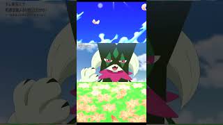 Meowscarada Funny Cat Noise
