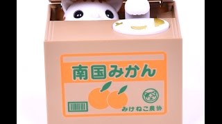 Hoho Kitty- Shy Kitty... Steals Your Coins