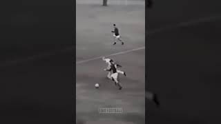 c1buz92S_qo Video Image