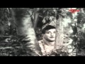 Bandipotu Songs - Vagala Raanivi Neeve - NTR - Krishna Kumari