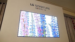 First Look At The Lg W7 Oled Tvlgs Wallpaper Television
