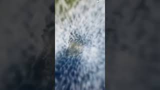 Spin.it59Zjzwtbe