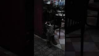 Algérie Fadiha Dzayri Fi Amsterdam Hhhh1