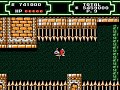 Duck Tales 2 - Under Ground (upper path)