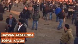 Hayvan Pazarında Sopalı Kavga