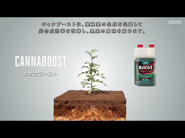 Watch (日本/Japanese) CANNABOOST 〜キャナブースト〜 on YouTube.