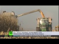 GMO 'Terrorists': Russia seeks criminal punishment for bio-tech companies