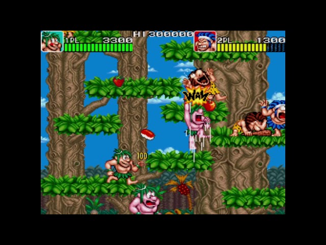 Caveman Ninja(Joe & Mac)