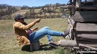 Cuando No Entiendes Bien A Cual Pico Se Refirió Los Picanos