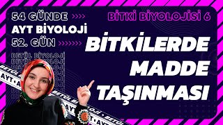 52 Bitkilerde Madde Taşınması Bitki Biyolojisi 12. Sınıf Biyoloji 2024 Ayt Biyoloji 52. Gün