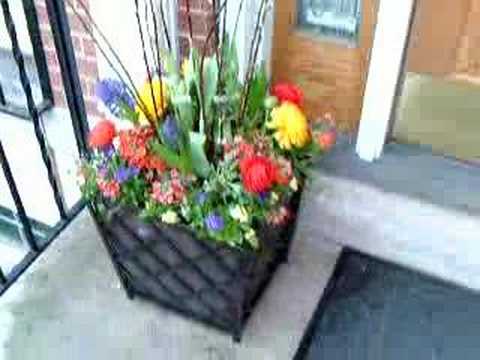 Chicago Gardening - ROOF TOP - BALCONY - DECK GARDEN DESIGNS We Also Carry Garden Containers Container Garden Bonsai Pots Bonsai Pot Large...