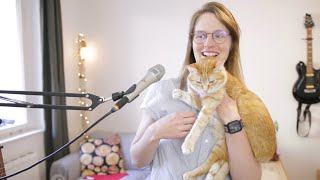 songs about (and by) cats | Jennifer Berning LIVE #96