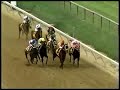 preakness stakes