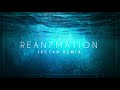 view Rean7mation