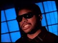 Ice Cube-Today Was A Good Day