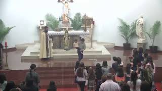 Sunday after Ascension English Mass🙏💒🙏
