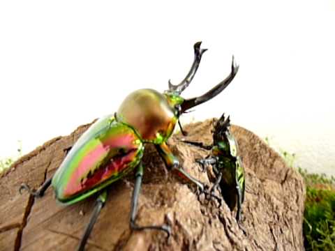 [verlinkte Grafik wurde nicht gefunden]