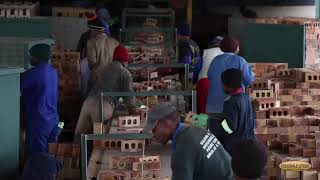 Federale Stene Clay Brick Manufacturing