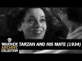 Clip | Tarzan and His Mate | Warner Archive