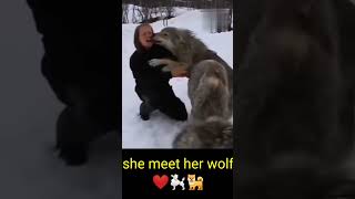 Girl Meet Her Pet Wolfs