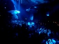 CoCoON pres PARTY ANIMALS-Marco Carola @ Amnesia (