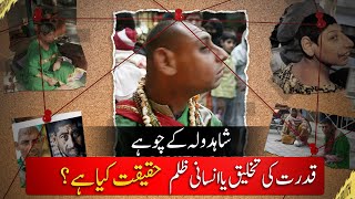 Hazrat Shahdula Shahdula Peer Mazar Gujrat Shahdula Peer K Chohy Real Story Rizwan3.0